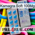 Kamagra Soft 100Mg new15